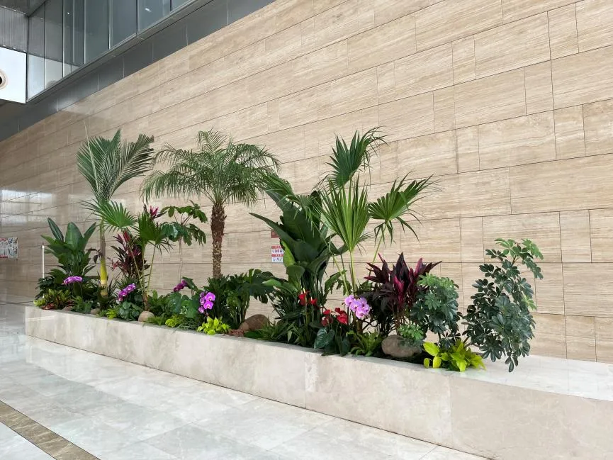 北仑绿植租摆价格